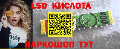 прущие грибы Канаш