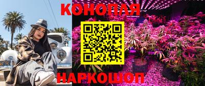 прущие грибы Канаш