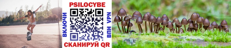 Галлюциногенные грибы Psilocybine cubensis  где продают   omg как зайти  Кинель 