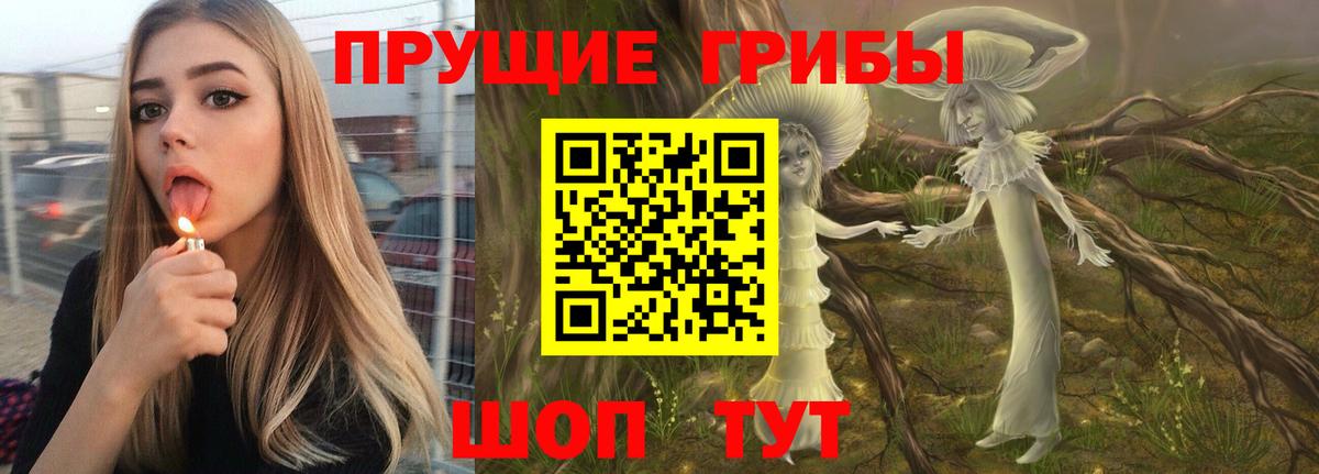 Псилоцибиновые грибы Psilocybine cubensis Кинель